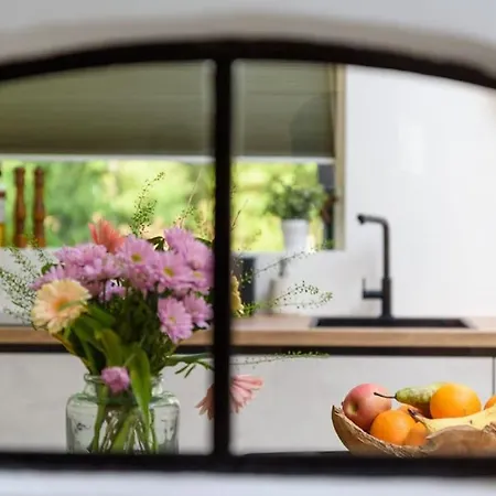 Rustgevend Paradijs Aan Het Bos Vakantiehuis Putten